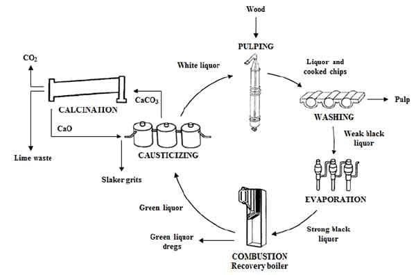 Chemical recovery plant with evaporator and recovery boiler by Rajshree Group